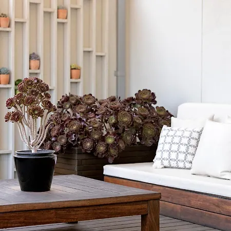 Hotel Hospes Amerigo, Alicante, A Member Of Design 5*