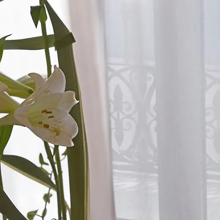 Hospes Amerigo, Alicante, A Member Of Design Hotel 5*